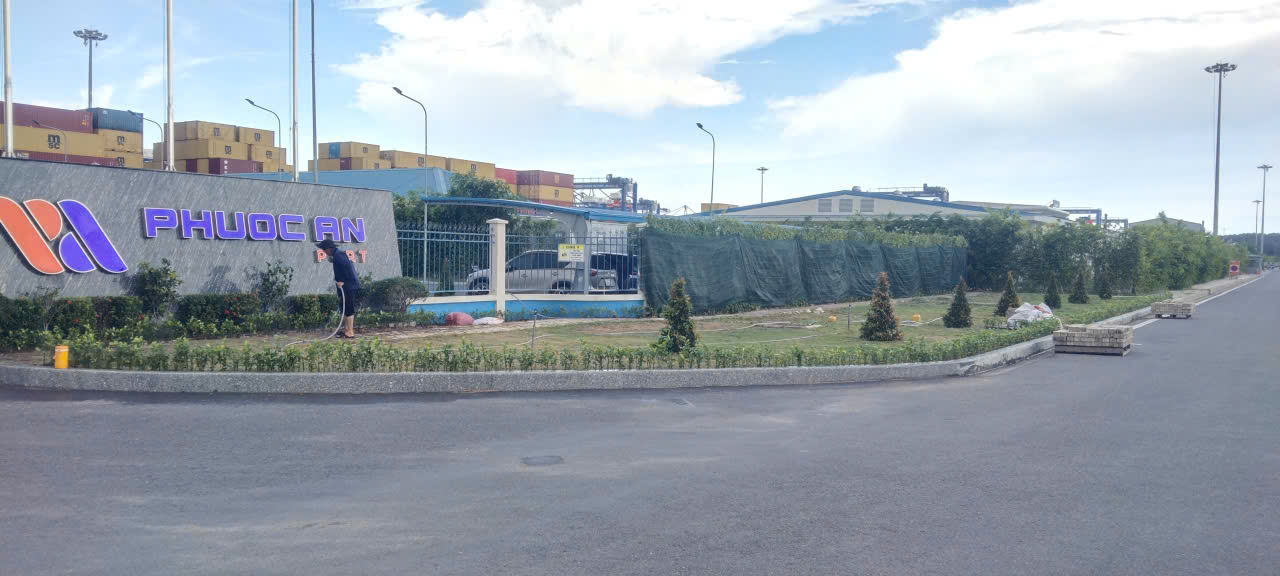 Cây xanh tại Cảng Phước An