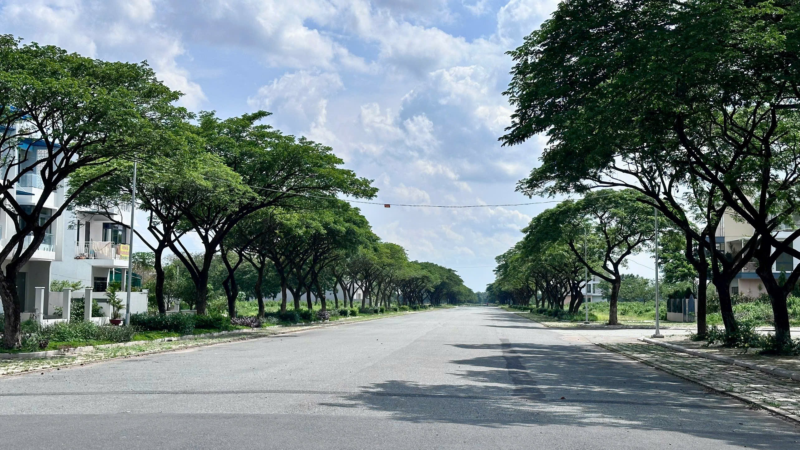 Cây xanh tại dự án Đông Sài Gòn