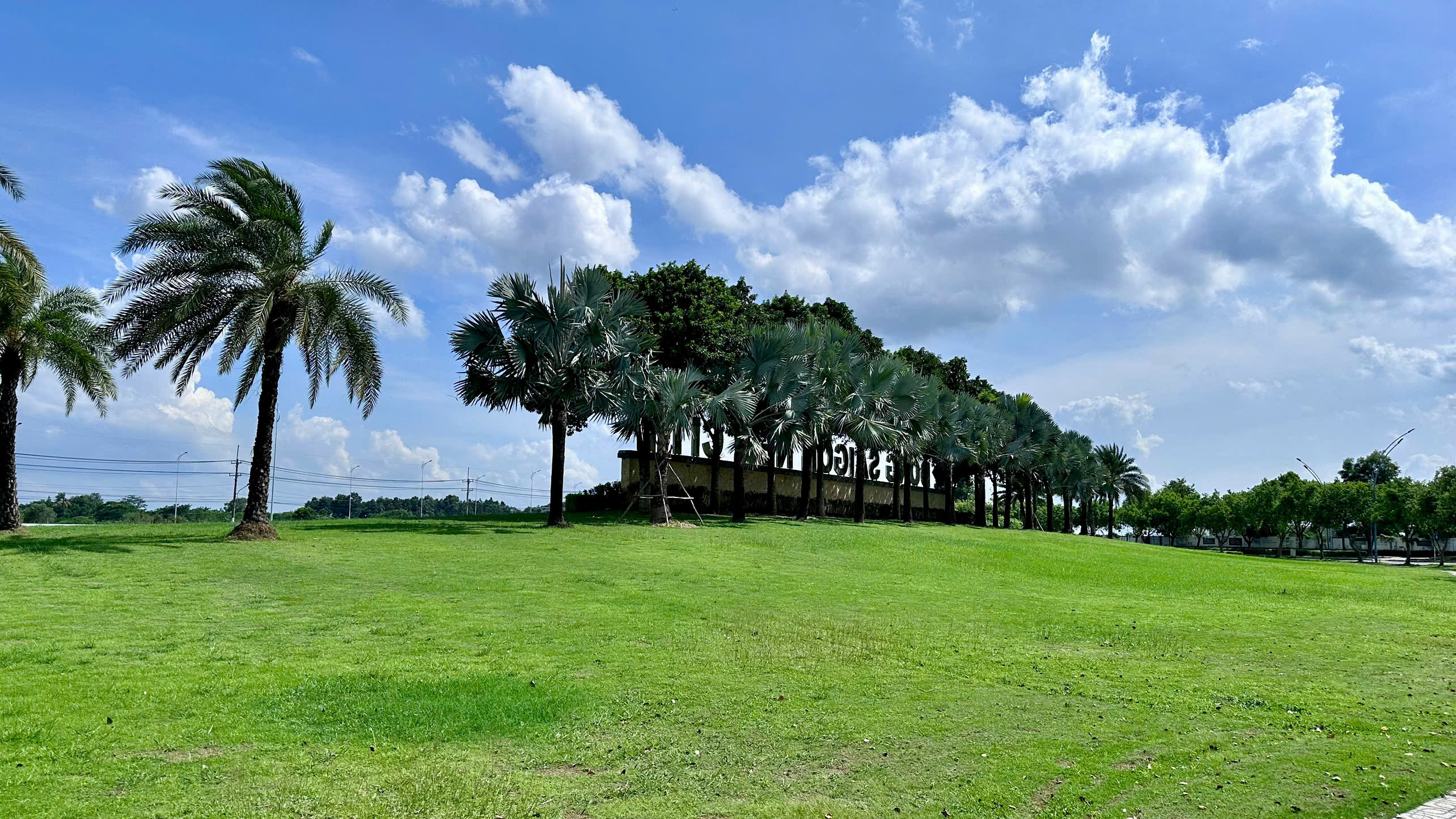 Cây xanh tại dự án Đông Sài Gòn