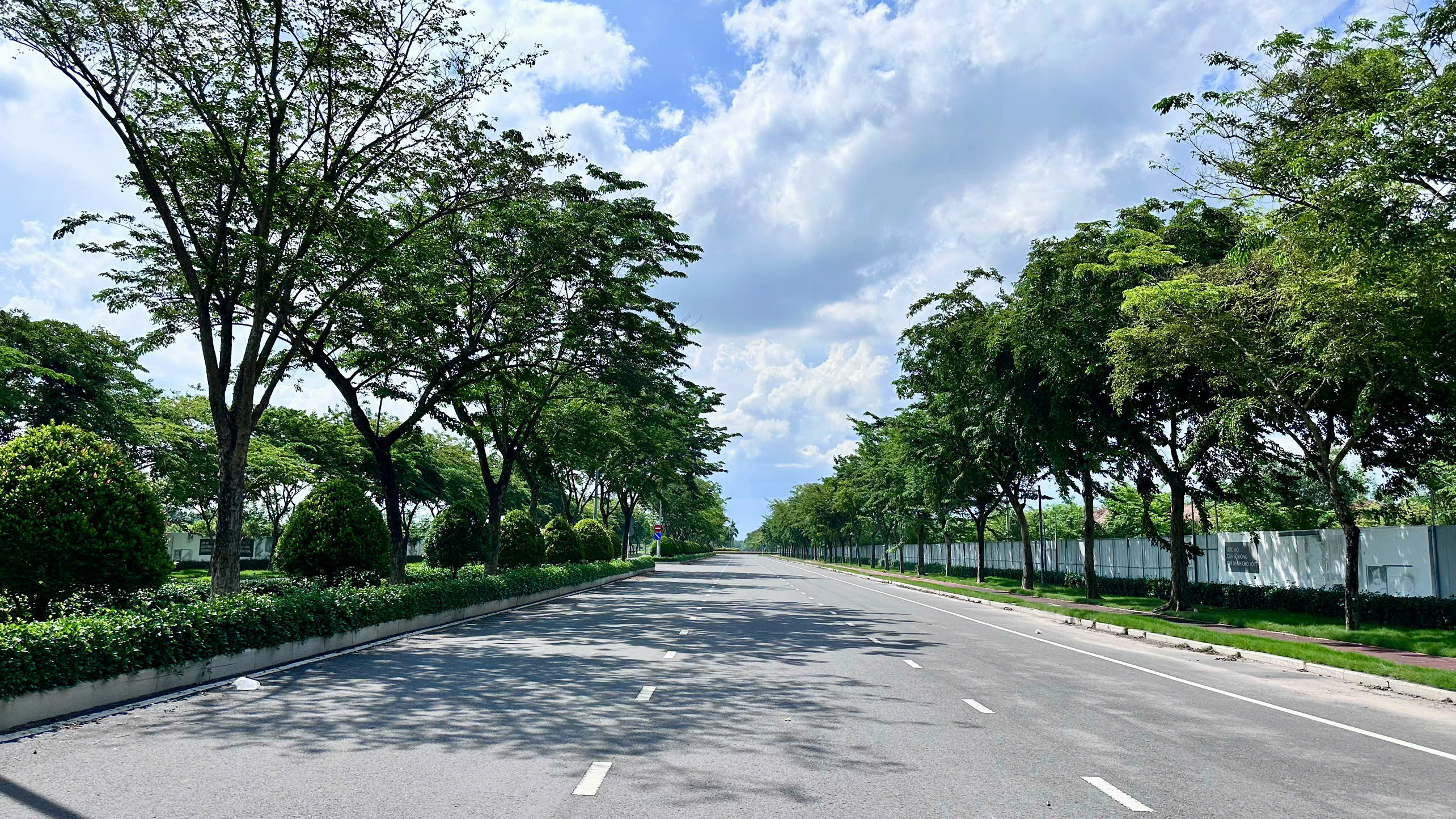 Cây xanh tại dự án Đông Sài Gòn