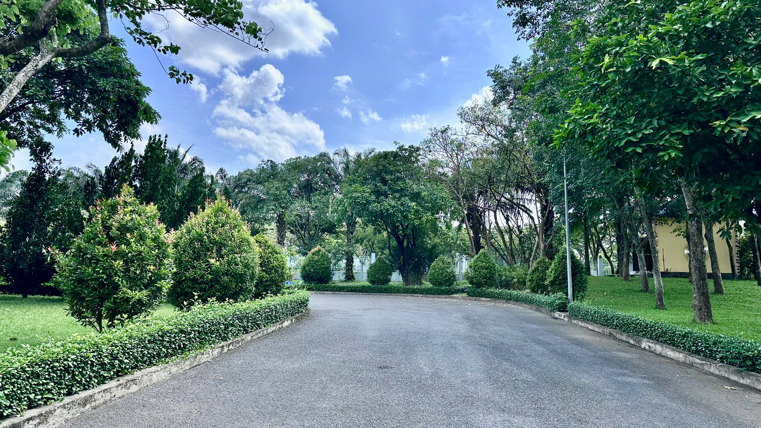 Cây xanh tại dự án Đông Sài Gòn