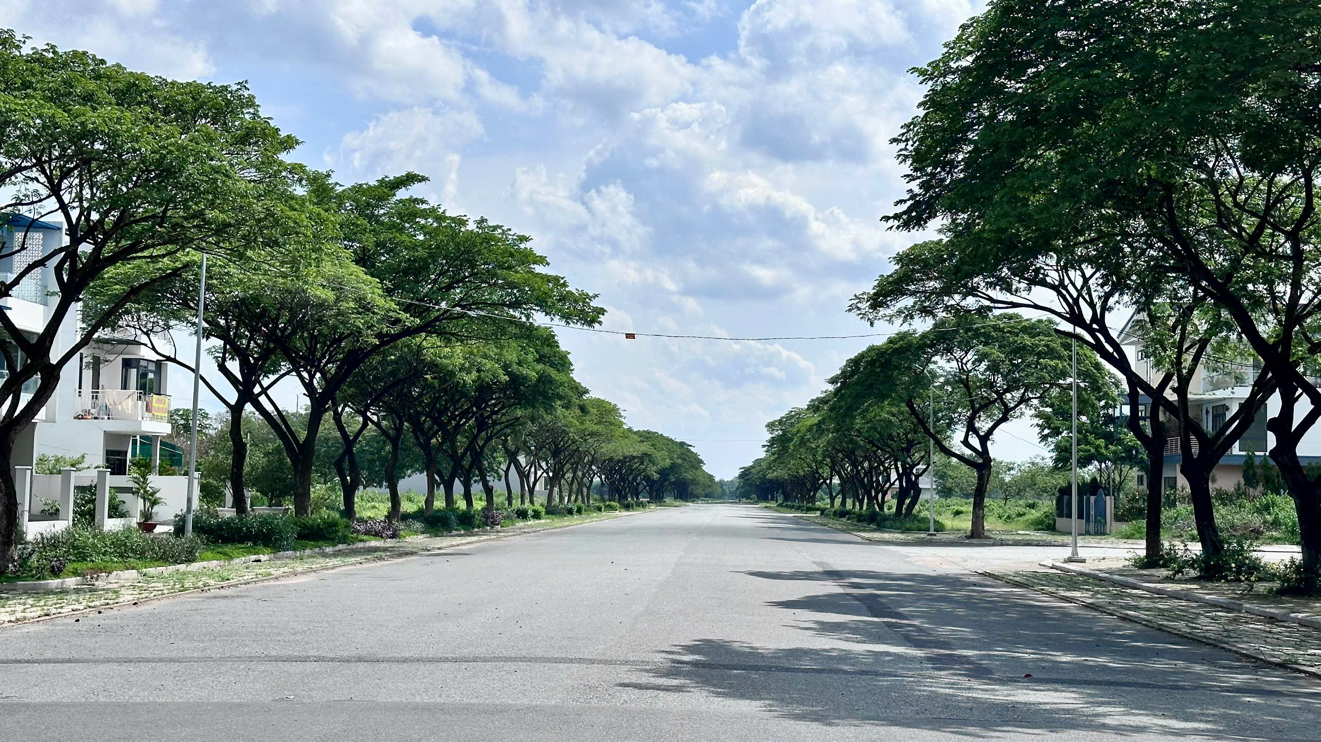 Cây xanh tại dự án Đông Sài Gòn