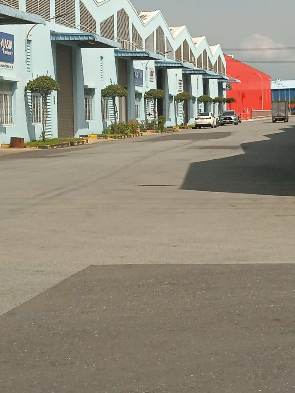 Cây xanh tại công ty JSC