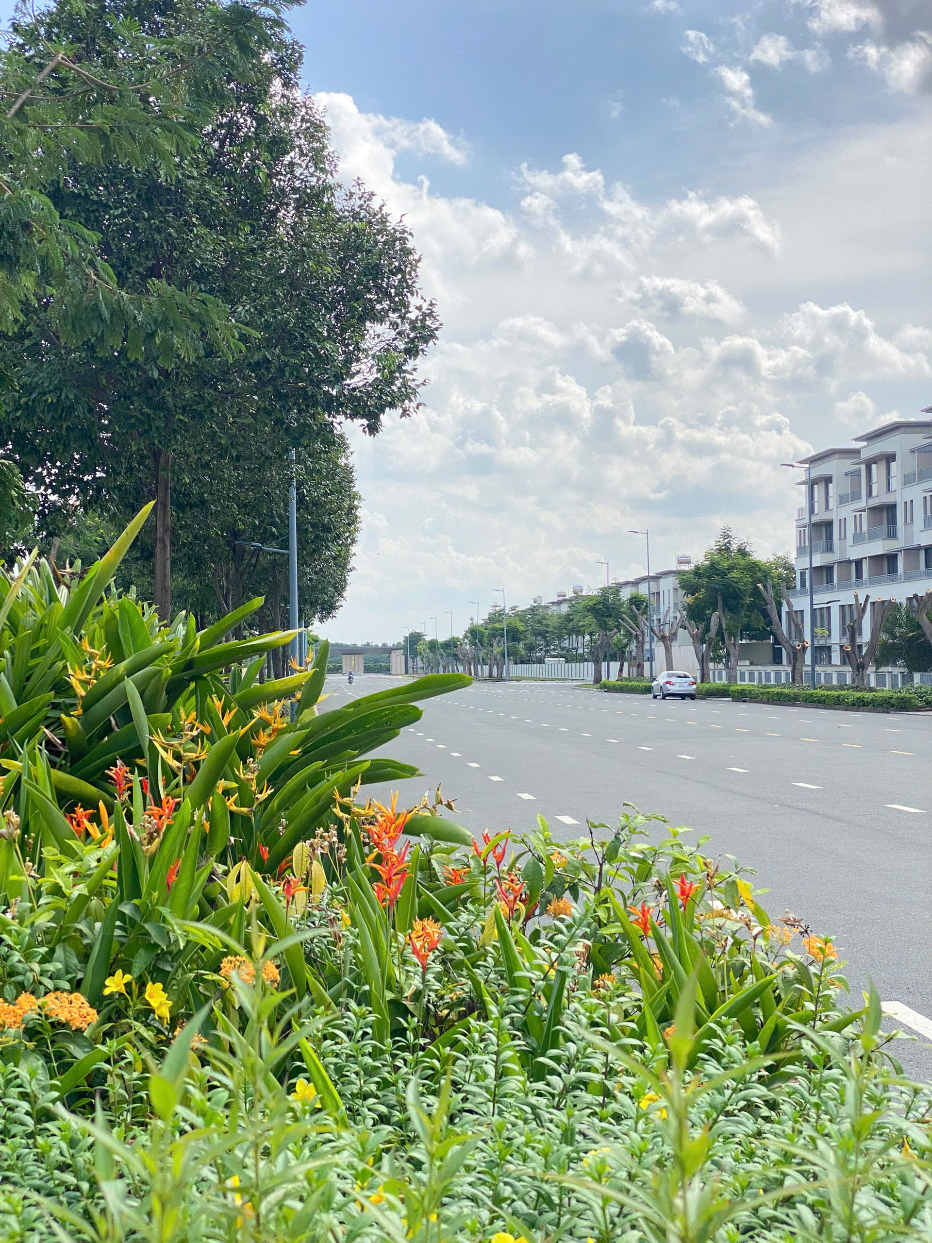 Cây xanh tại Khu đô thị Swanpark