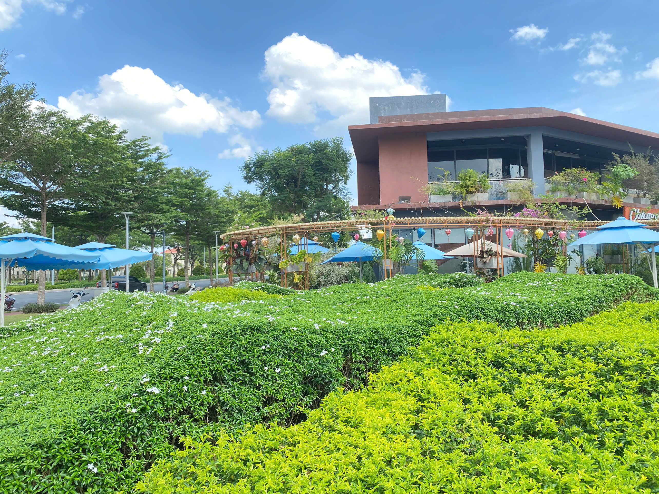 Cây xanh tại Khu đô thị Swanpark