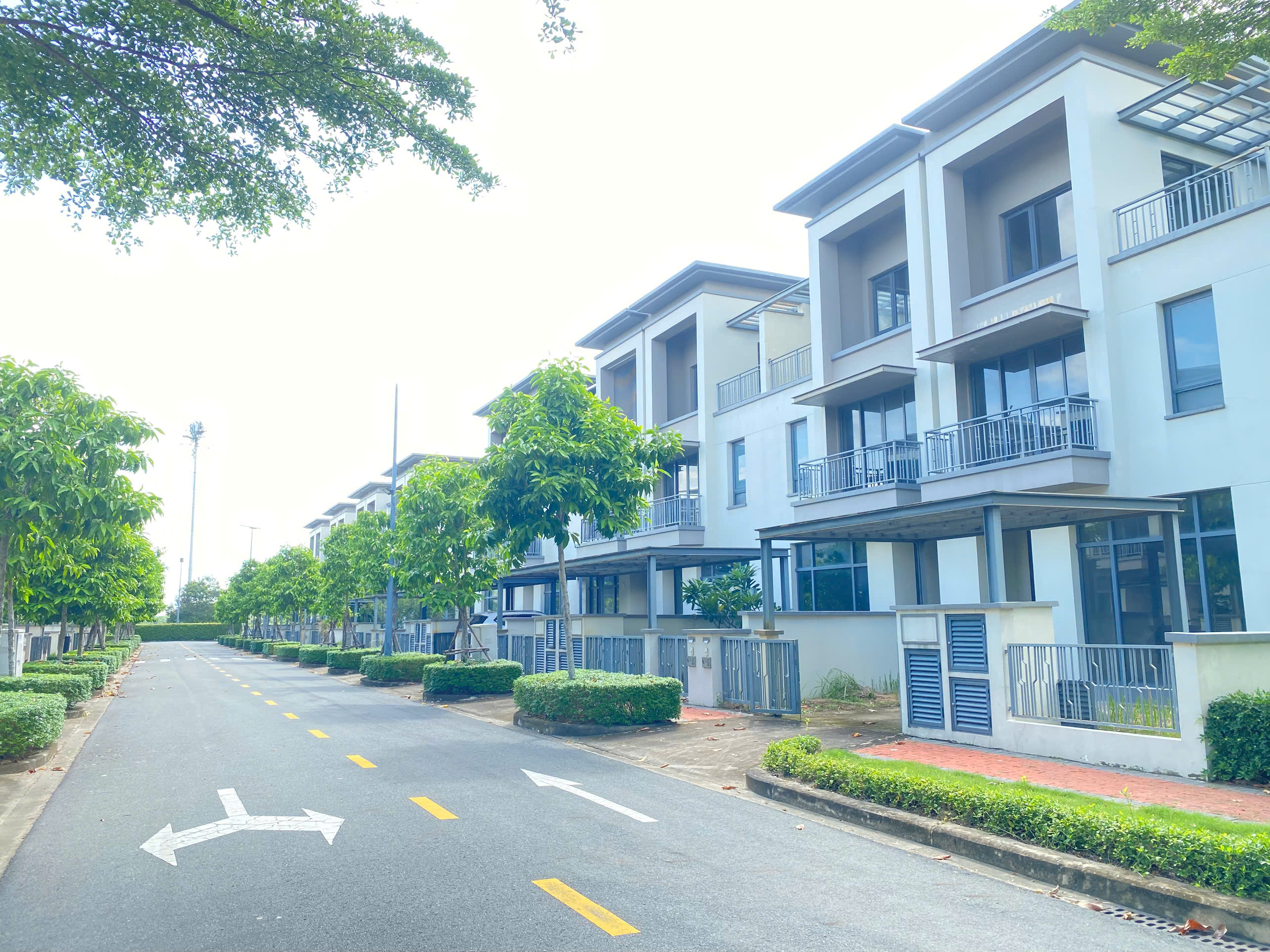 Cây xanh tại Khu đô thị Swanpark