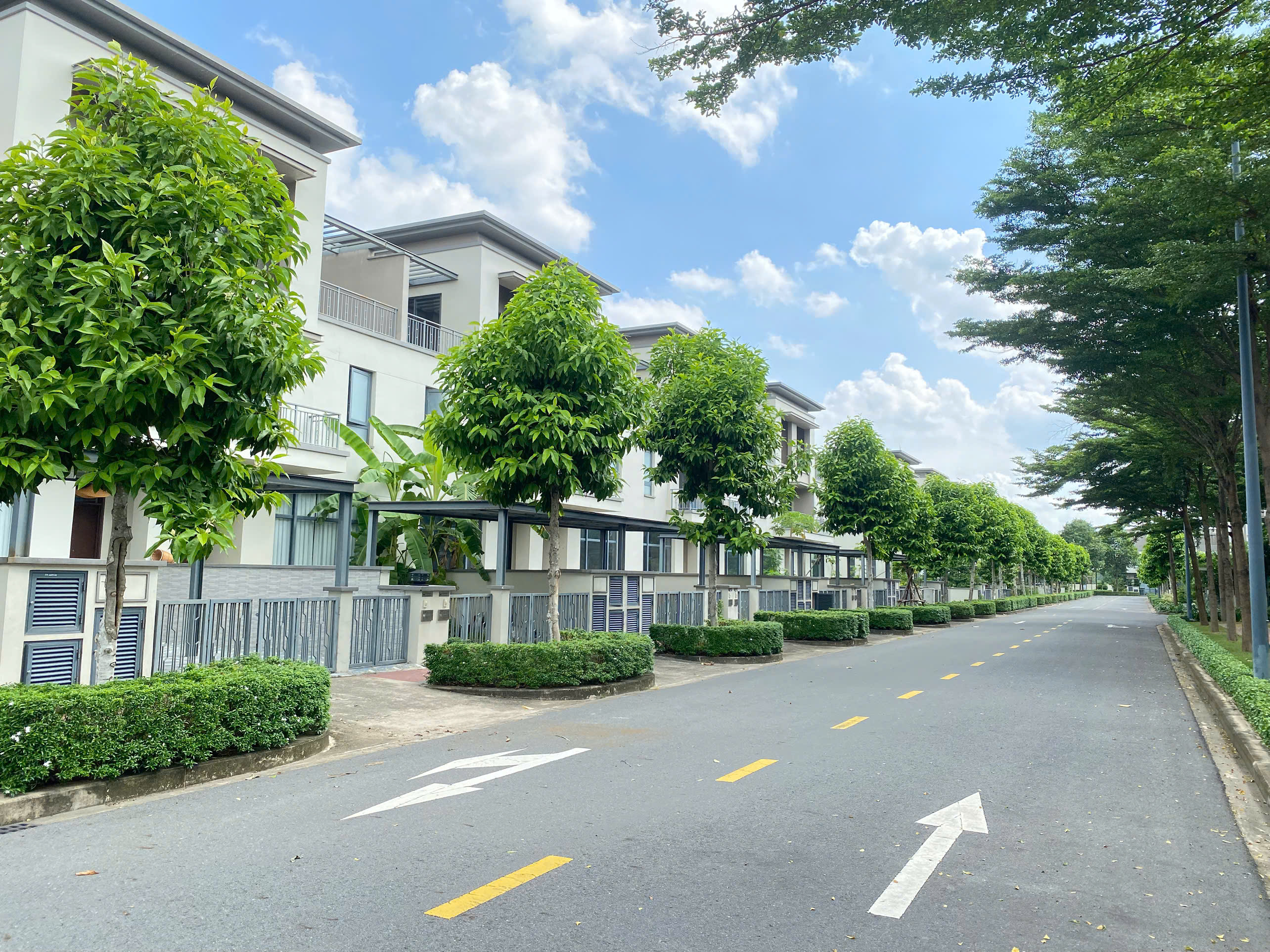 Cây xanh tại Khu đô thị Swanpark