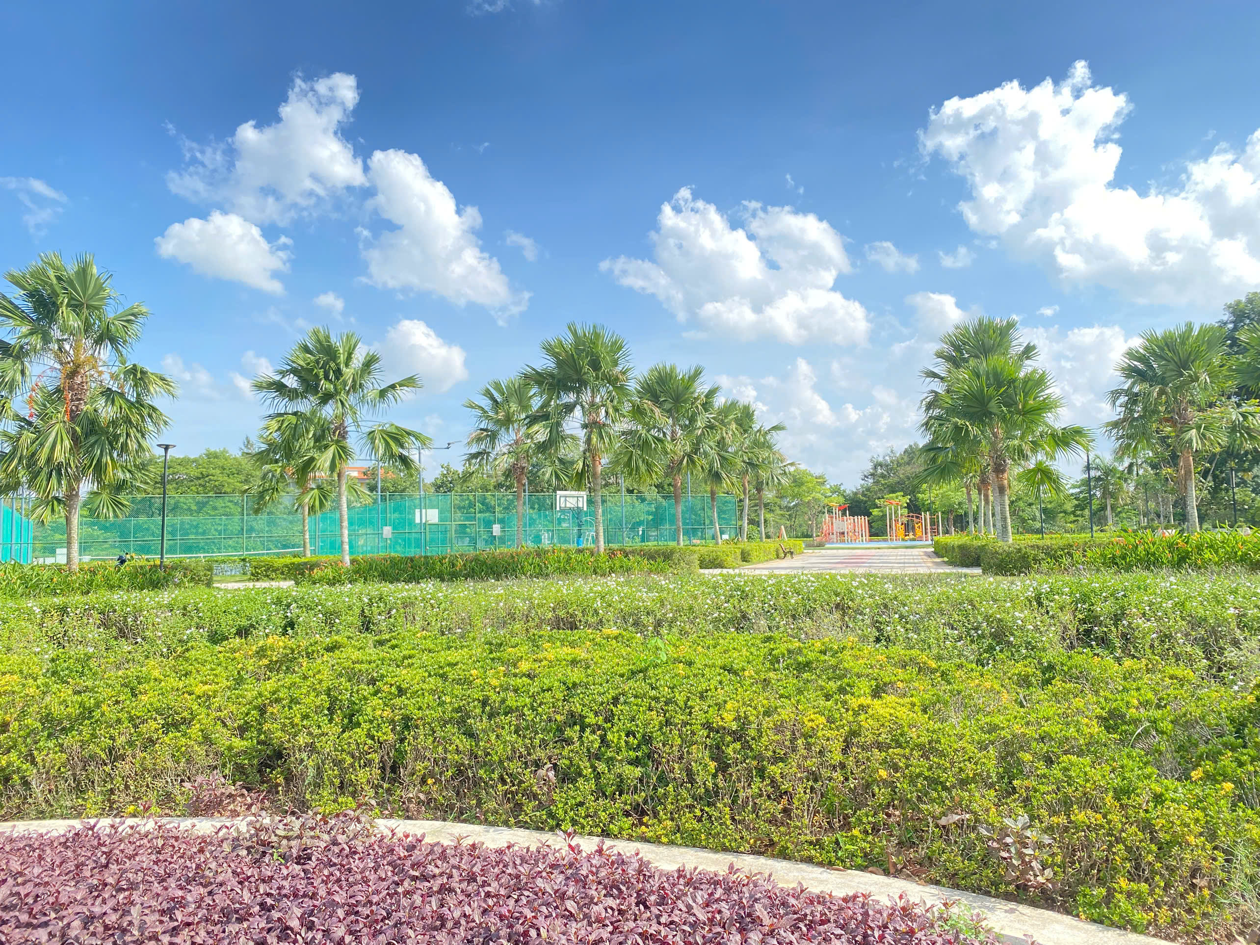 Cây xanh tại Khu đô thị Swanpark