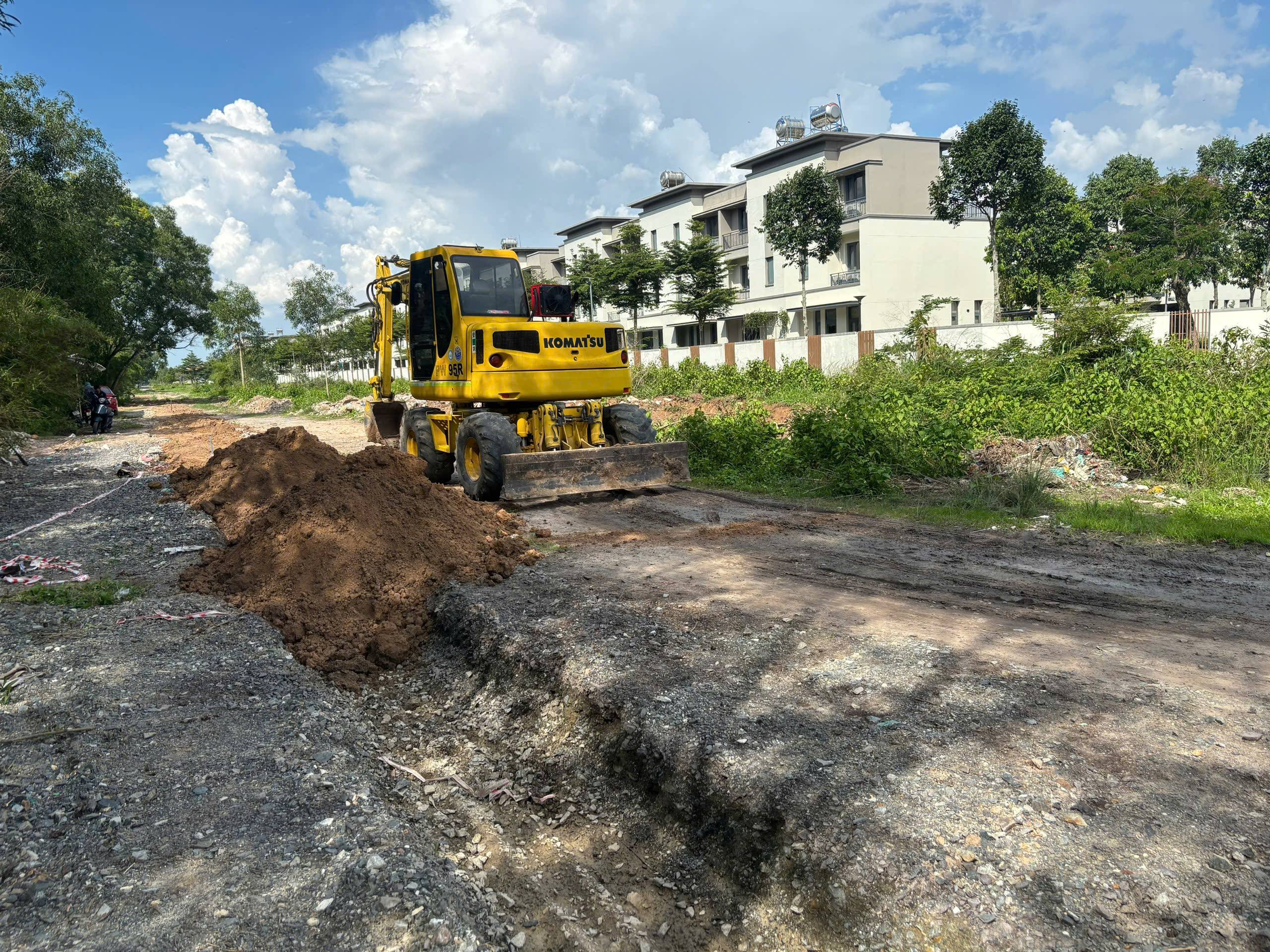 Cây xanh tại Cảng Phước An