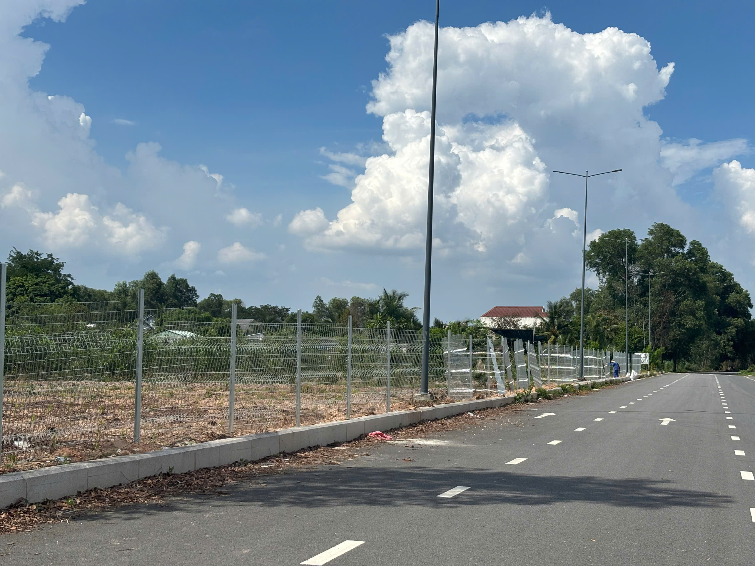 Cây xanh tại Cảng Phước An