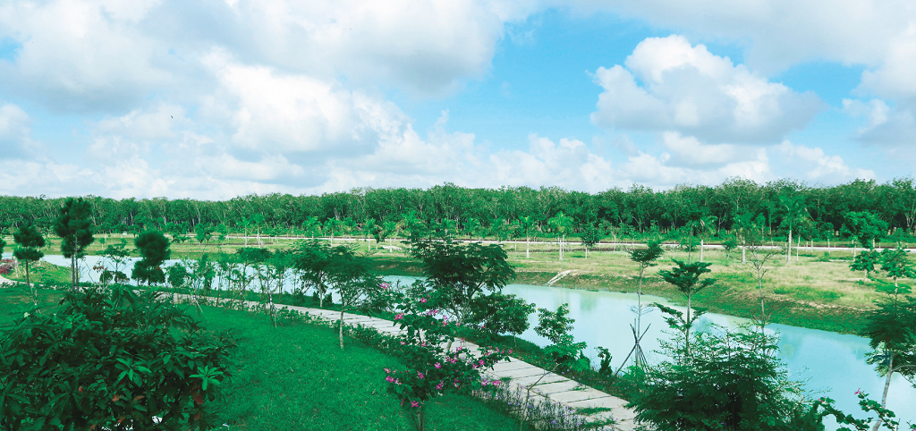 Không gian xanh giữa đô thị